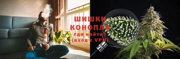 дурь Гусь-Хрустальный