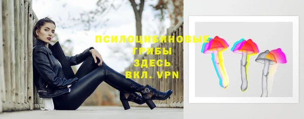 метадон Гусев
