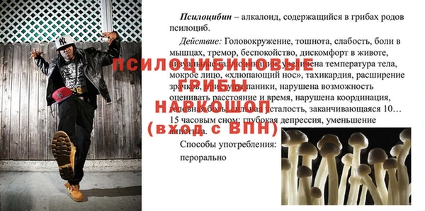 дурь Гусь-Хрустальный