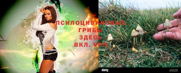 мефедрон Дмитров