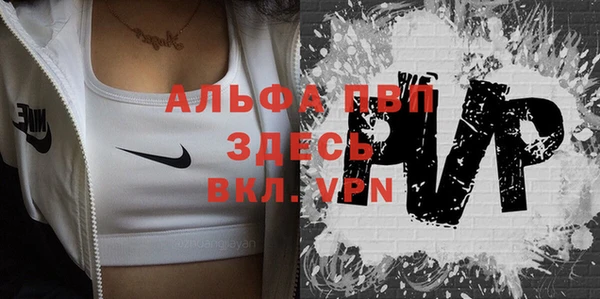прущие грибы Горно-Алтайск