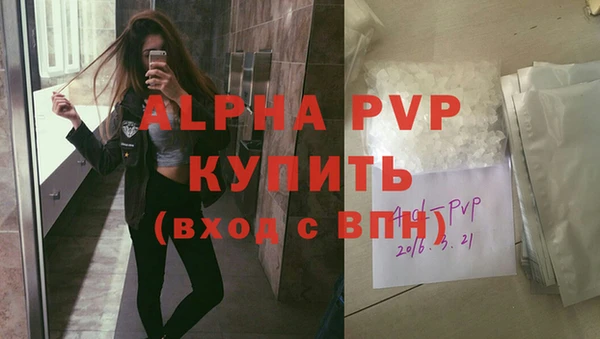 СК Елизово